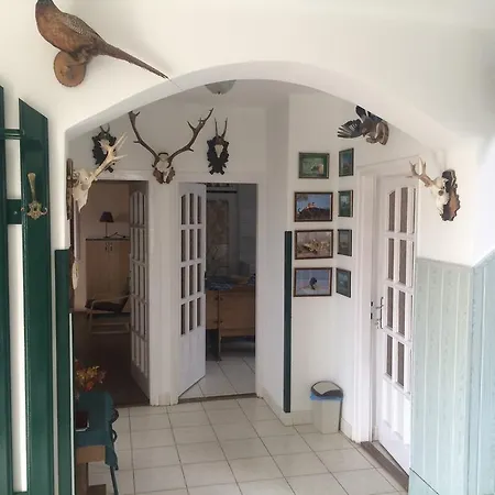 Guest house Horgasz-vadasz Vendeghaz Egyek