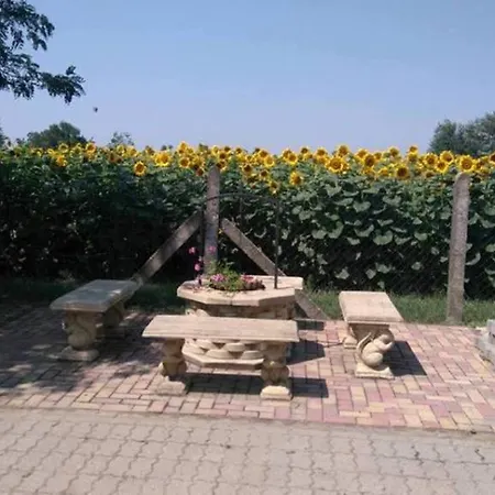 Guest house Horgasz-vadasz Vendeghaz