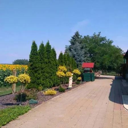 Horgasz-vadasz Vendeghaz Guest house Egyek
